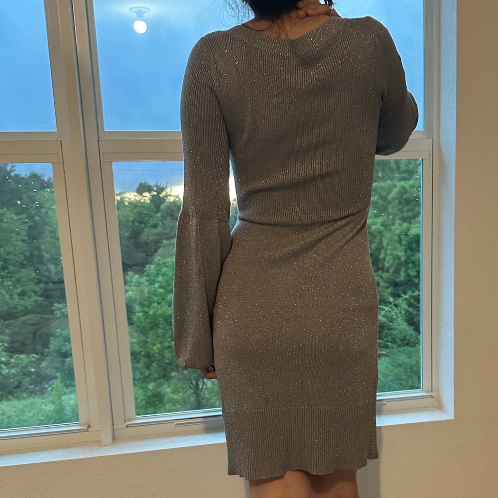 Silver Knit Dress - Picture 5 of 7